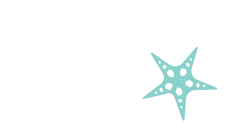 sea star design 