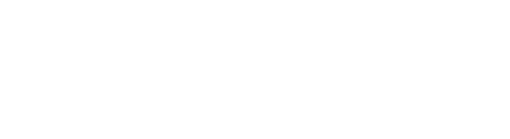 Dot Info Marketing Whakatane